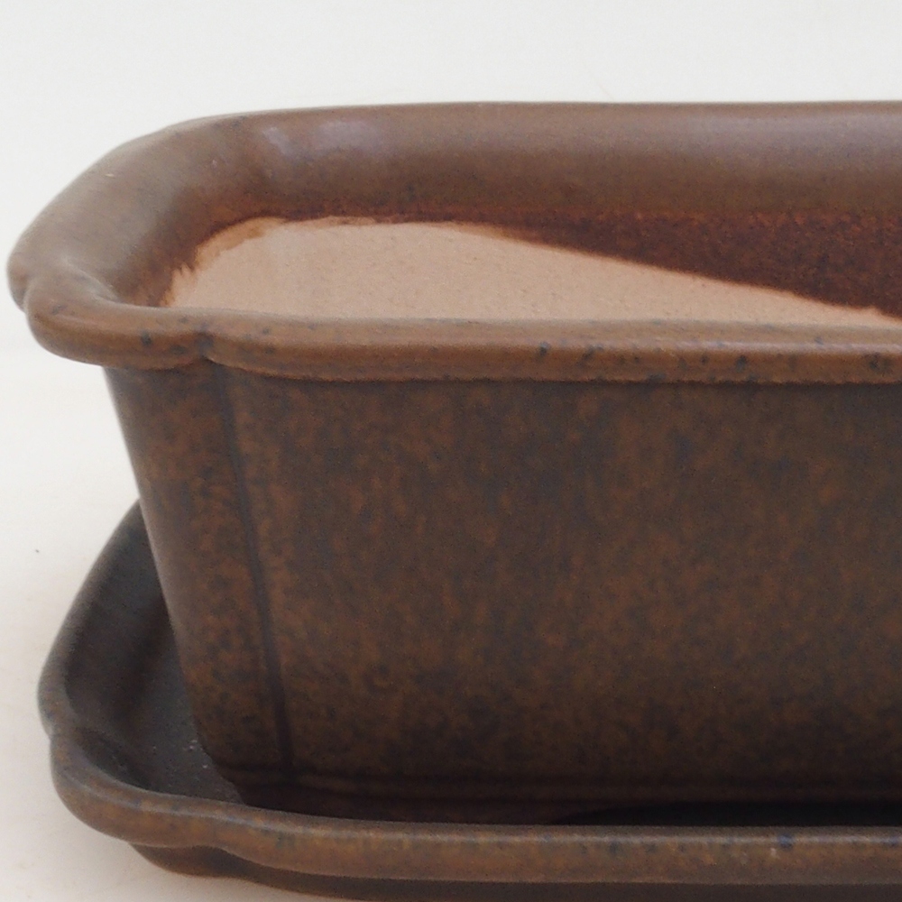 Bol Bonsaï + soucoupe H50 - brun