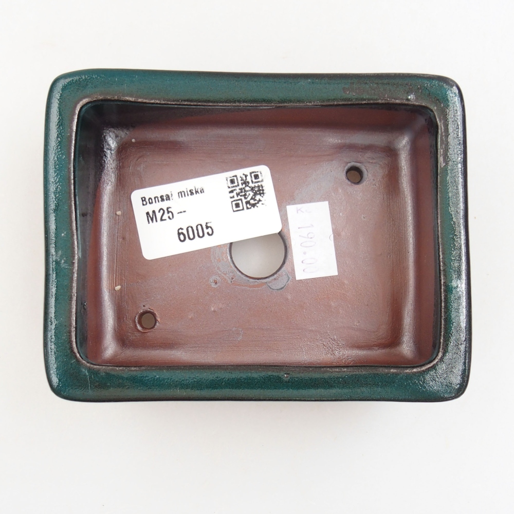Bol à bonsaï en céramique 22 x 17 x 5 cm, vert