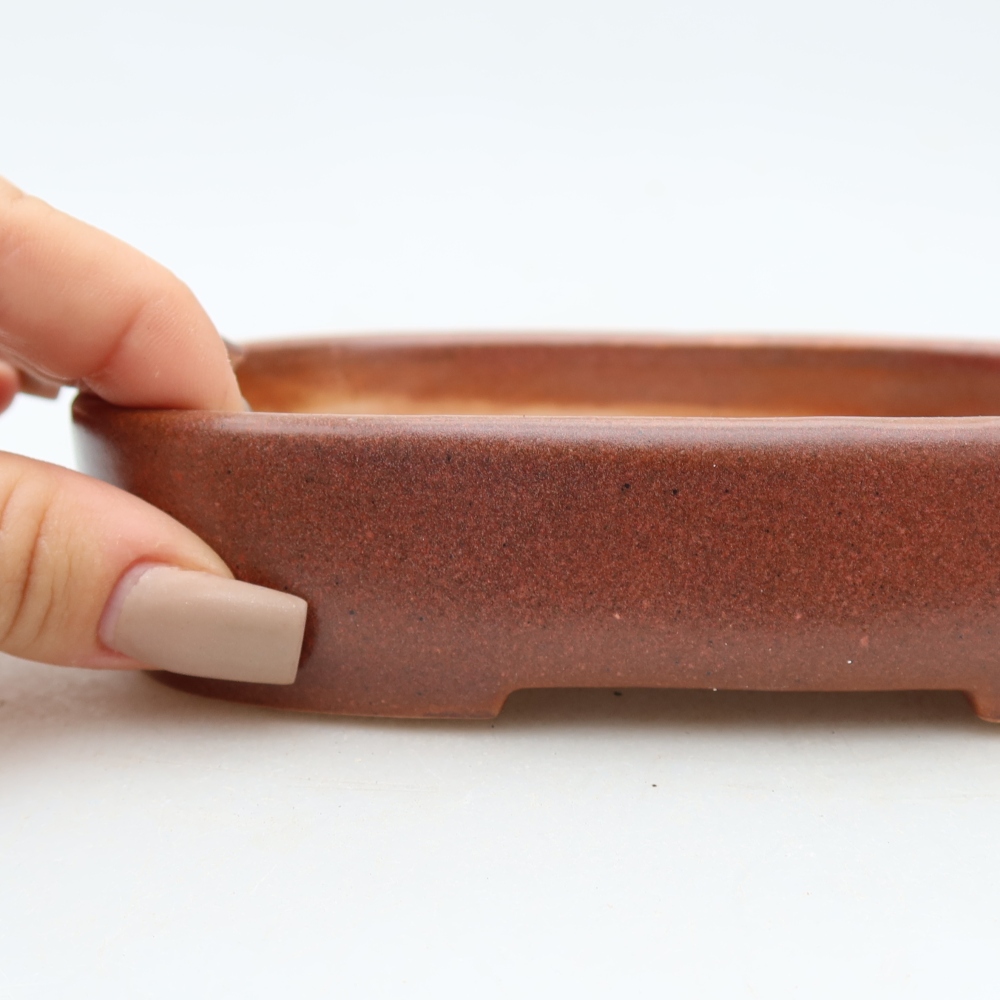 Pot à bonsaï en céramique 16 x 11 x 3,5 cm, couleur bordeaux