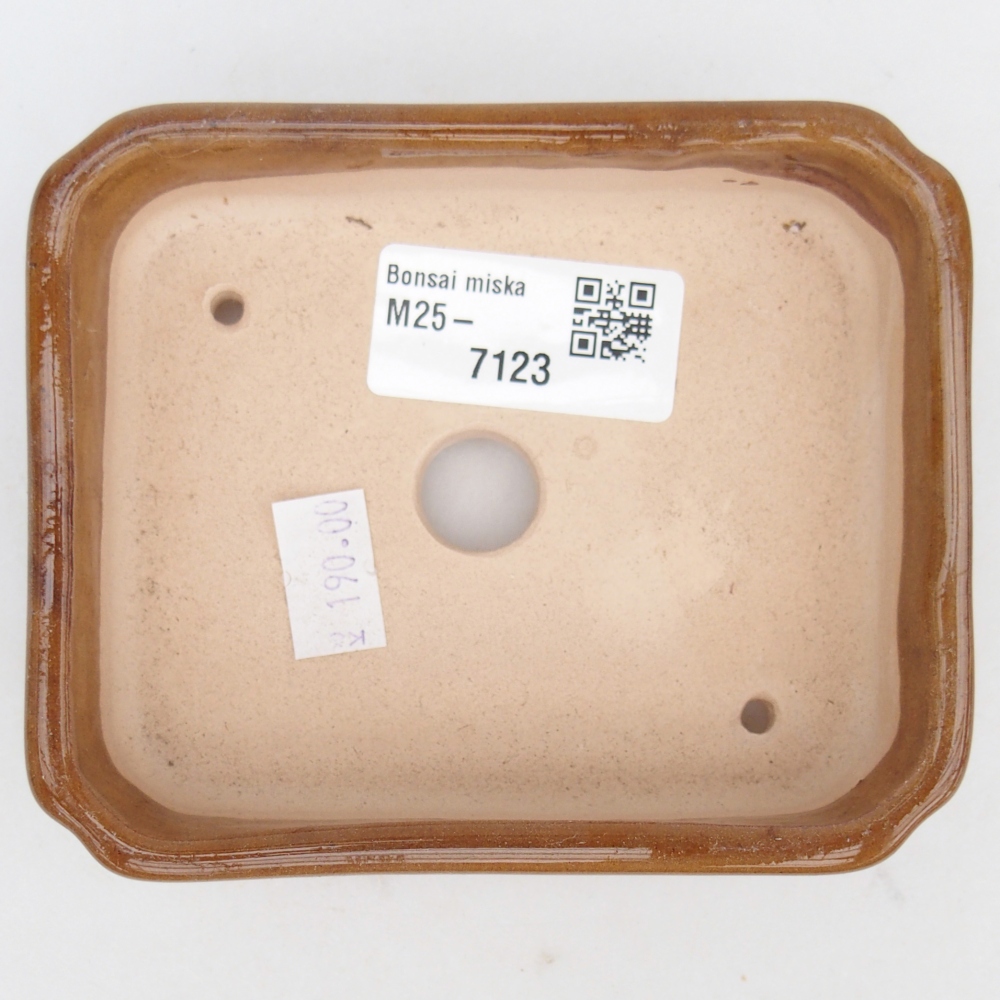 Bol à bonsaï en céramique 11 x 9 x 3 cm, brun