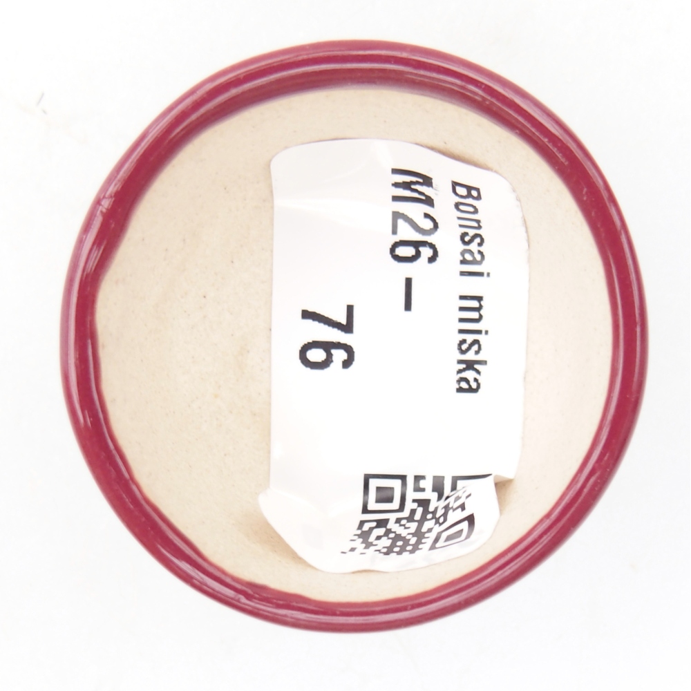 Mini bol bonsaï 4 x 4 x 2 cm, bordeaux