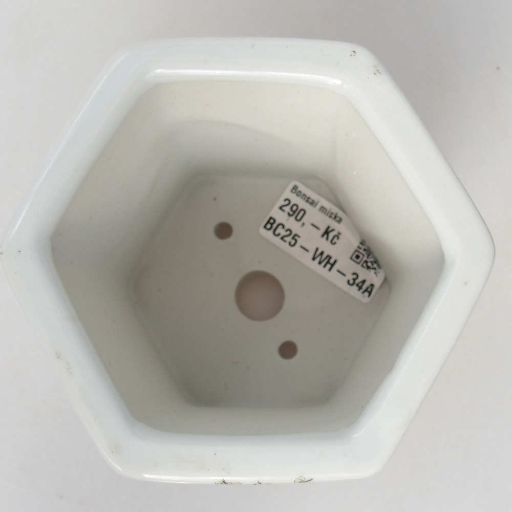 Bol à bonsaï en céramique 10,5 x 9,5 x 9 cm, couleur blanc