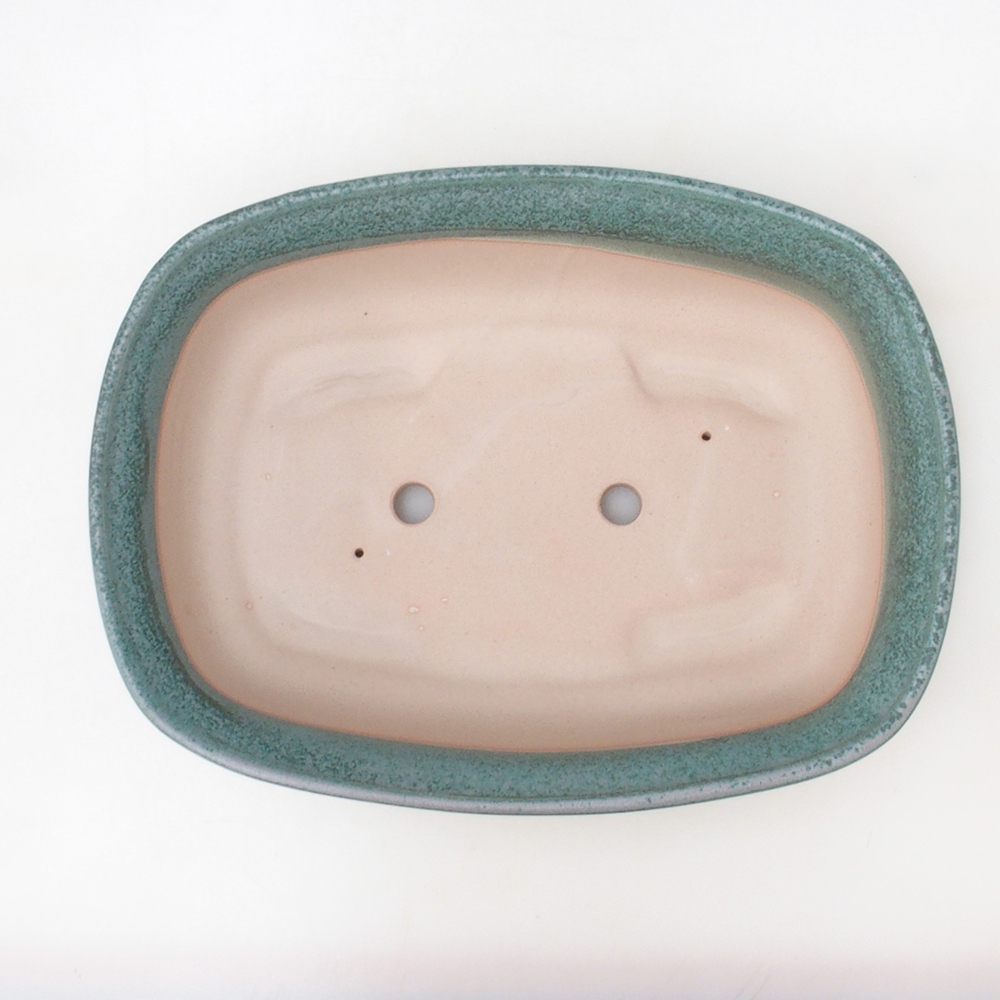 Coupe bonsaï H10 - 37 x 28 x 9 cm - vert