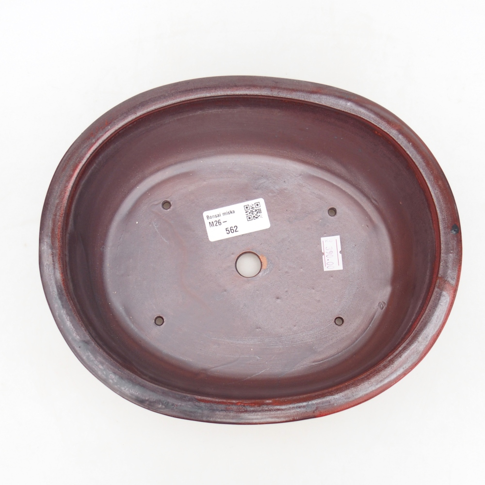 Bol à bonsaï en céramique 23 x 19 x 7 cm, couleur rouge