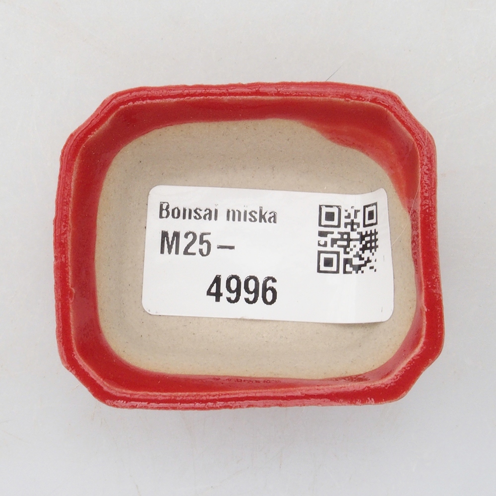 Mini bol bonsaï 5 x 4,5 x 2 cm, couleur rouge