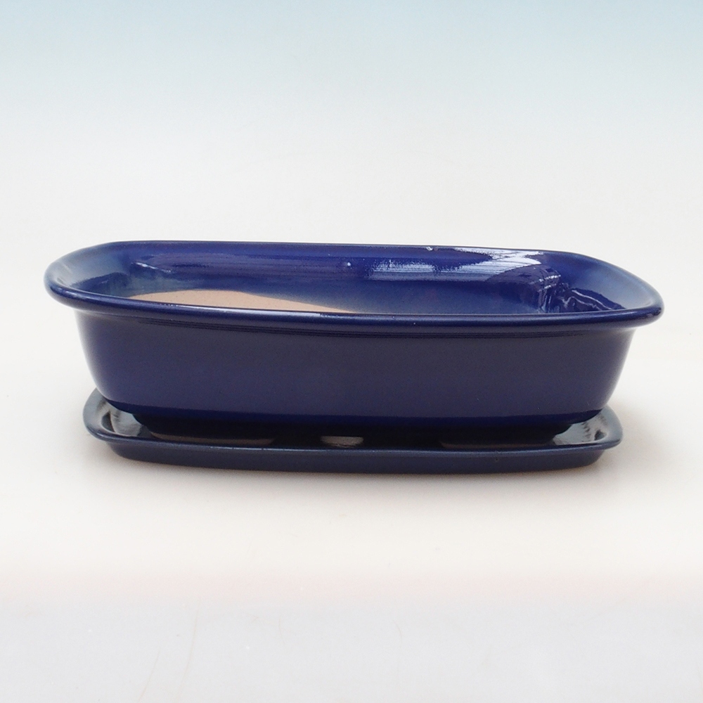 Bol Bonsaï + soucoupe H09 - 30 x 23 x 7,5 cm.