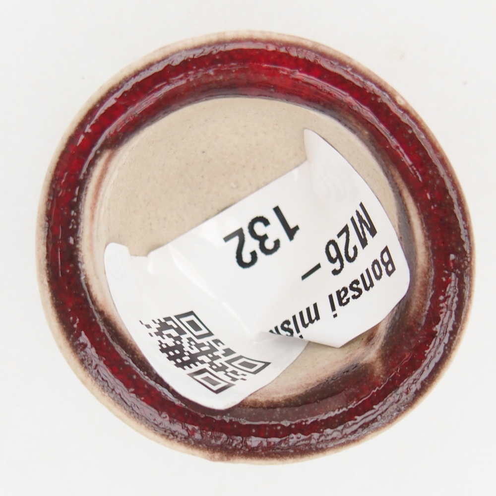 Mini bol bonsaï 3,5 x 3,5 x 2,5 cm, couleur rouge