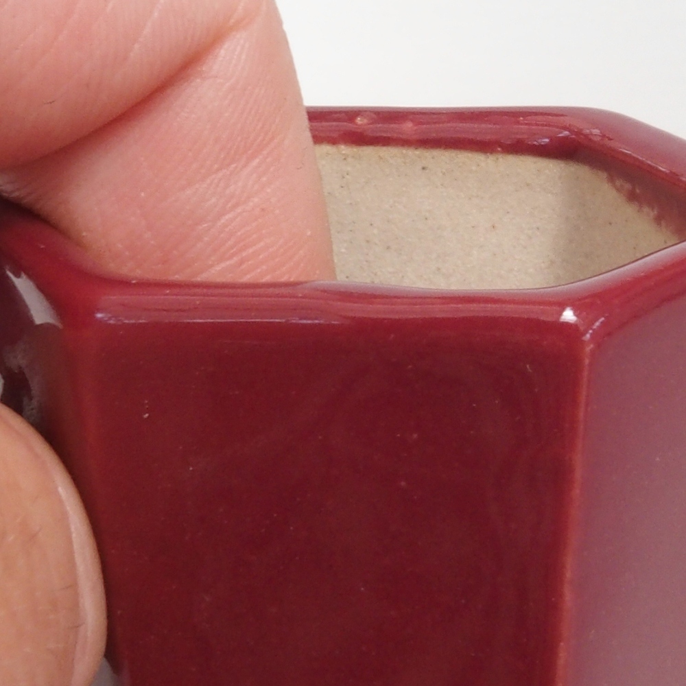 Mini bol bonsaï 4,5 x 4 x 6 cm, bordeaux