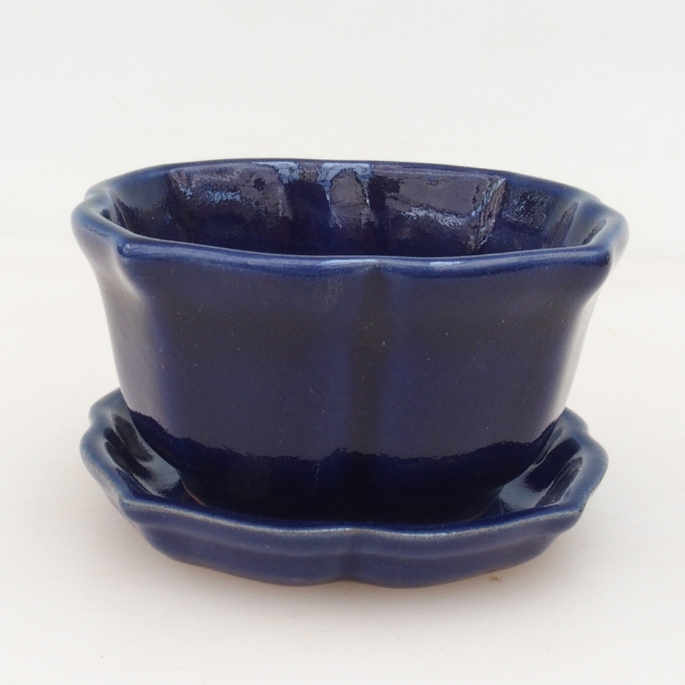 Bol Bonsaï + soucoupe H95 - bleu