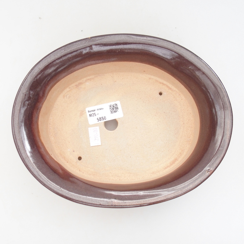 Bol à bonsaï en céramique 22 x 17 x 5 cm, vert