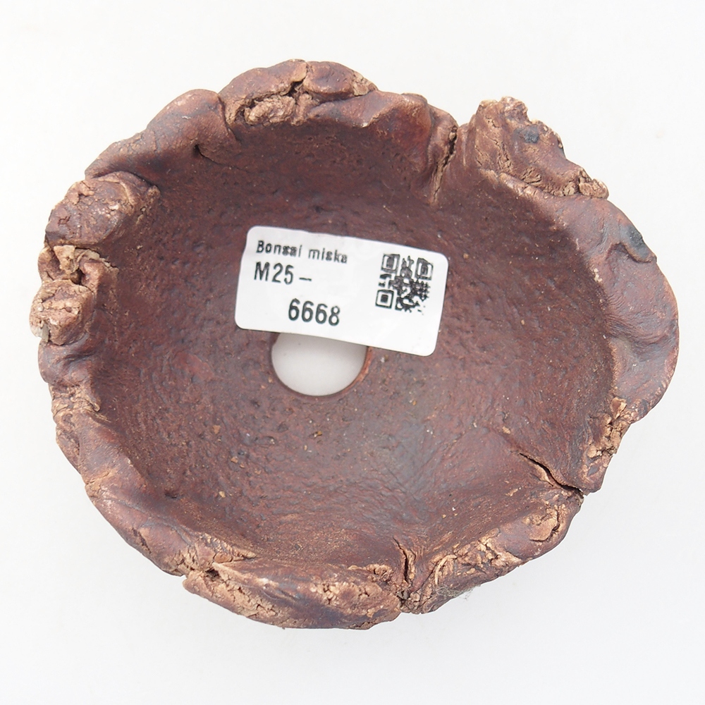 Coquille en céramique 10 x 9 x 5,5 cm , couleur marron