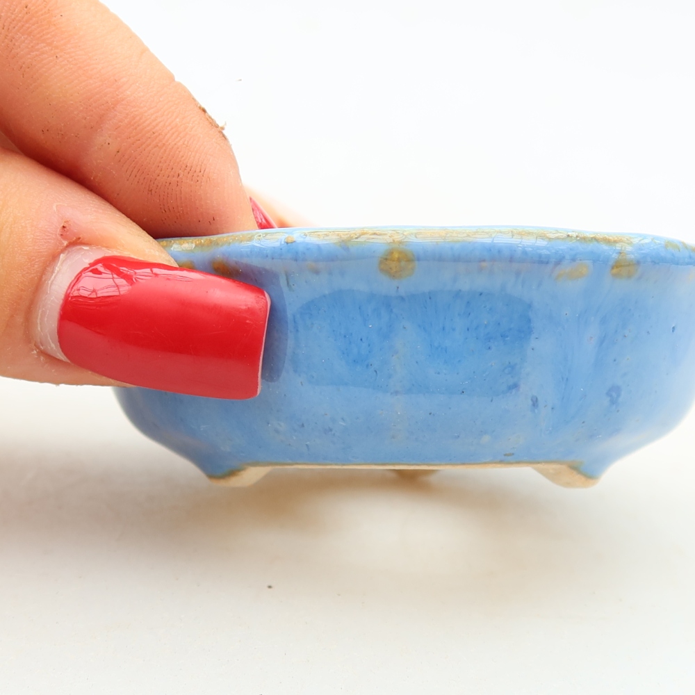 Pot à bonsaï en céramique 7 x 7 x 2,5 cm, couleur bleue