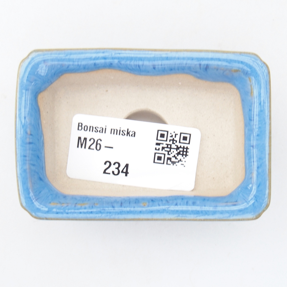 Mini bol bonsaï 7 x 5 x 2 cm, bleu