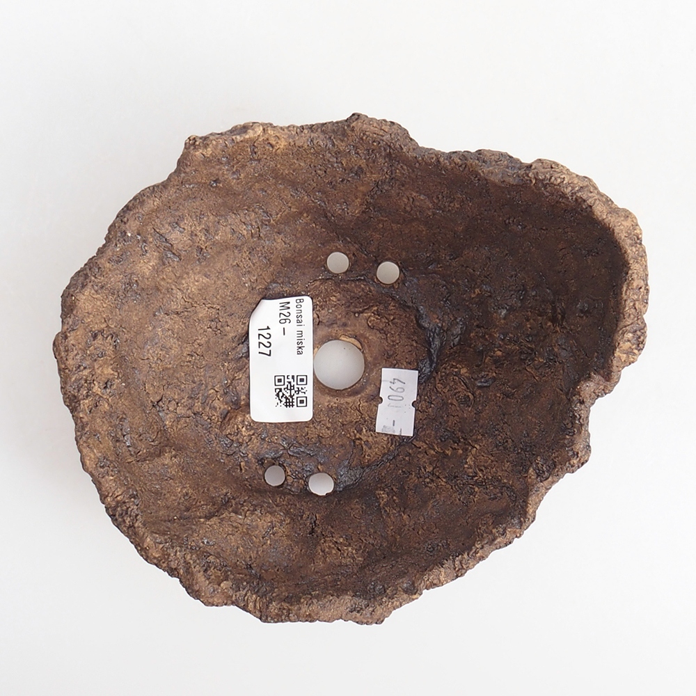 Coquille en céramique 14 x 13 x 12 cm , couleur marron