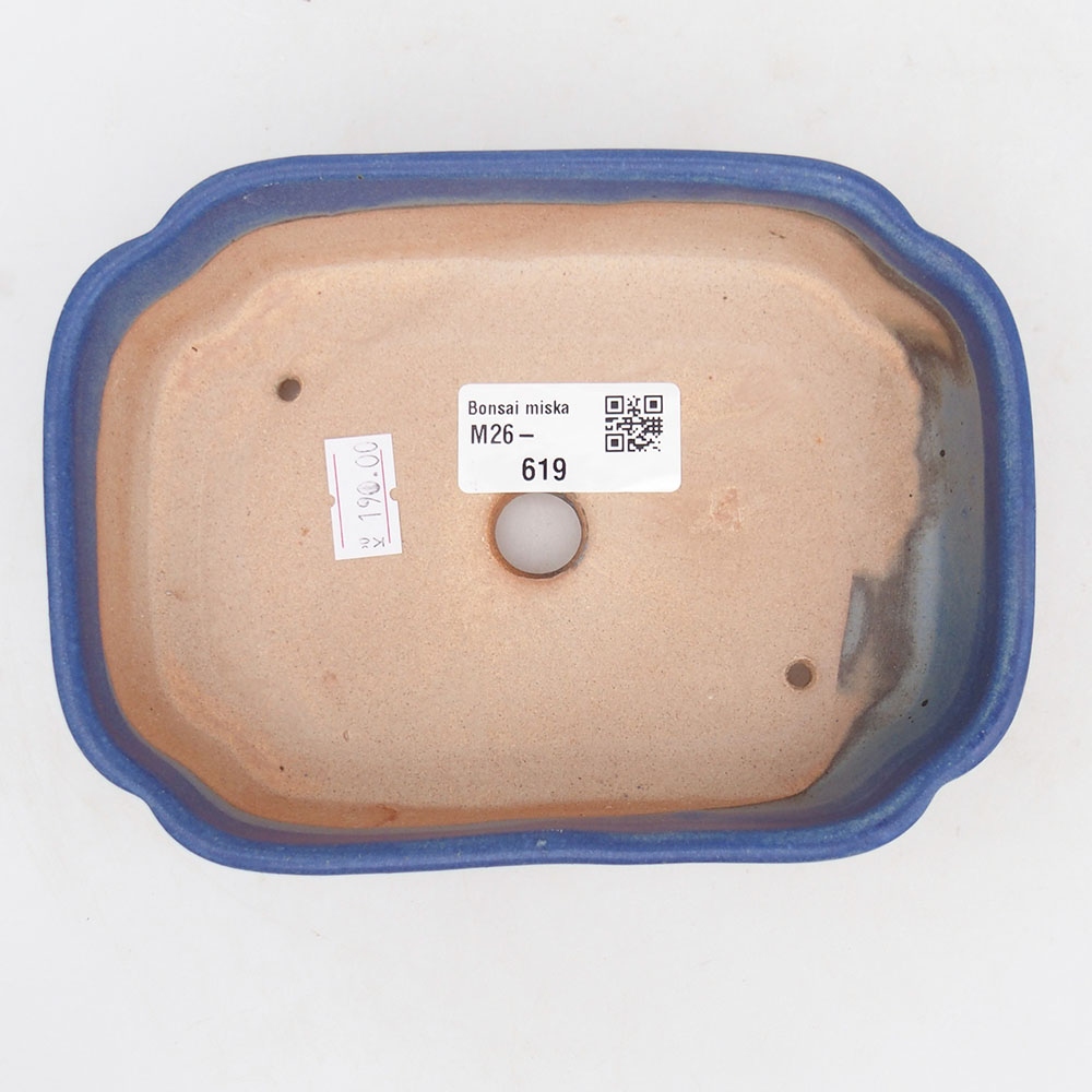Bol à bonsaï en céramique 16 x 11,5 x 4,5 cm, couleur bleu
