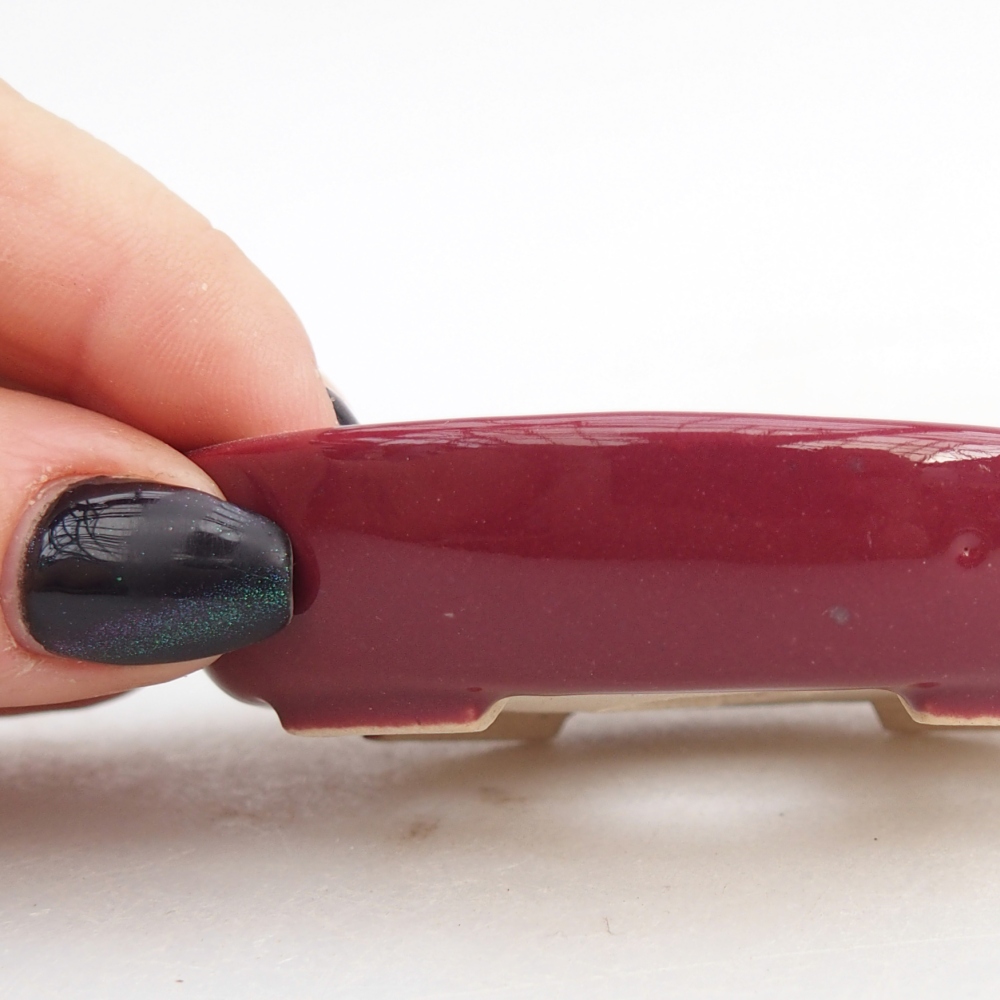 Mini bol bonsaï 8 x 6 x 2 cm, bordeaux