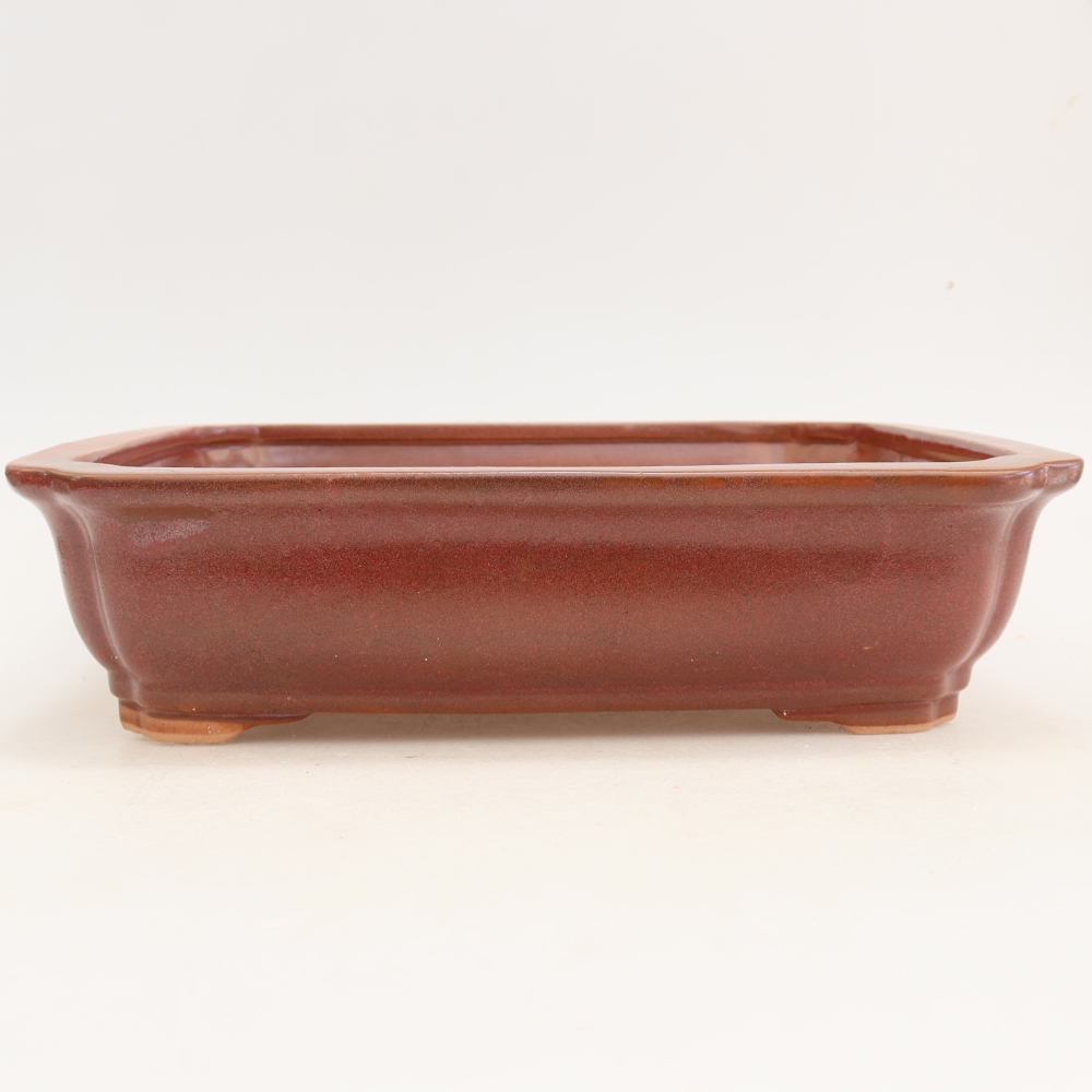 Pot à bonsaï en céramique 27,5 x 21,5 x 7 cm, couleur bordeaux