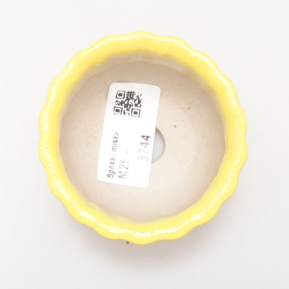Bol à bonsaï en céramique 7 x 3 x 3,5 cm, jaune