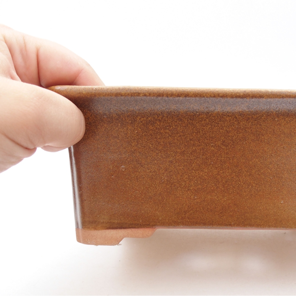 Bol à bonsaï en céramique 22 x 17 x 5 cm, vert