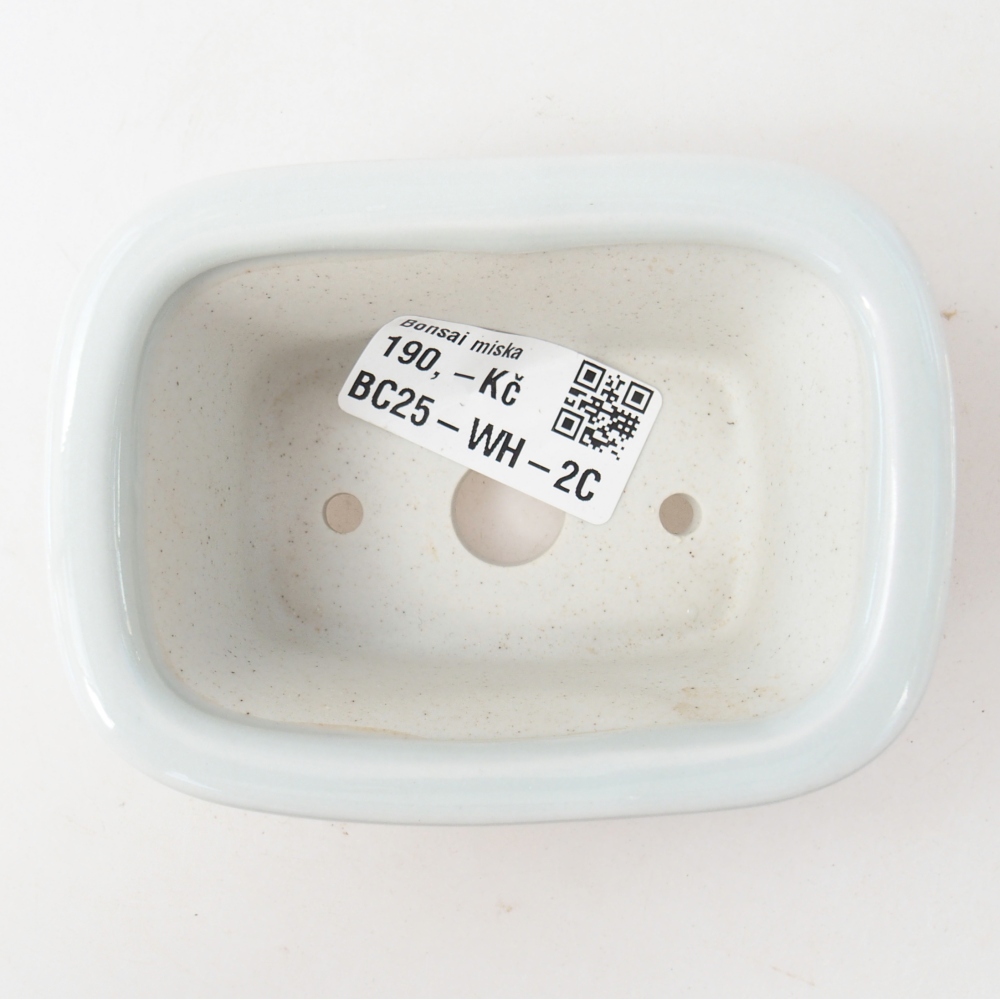 Mini bol bonsaï 10 x 7,5 x 4 cm, couleur blanc