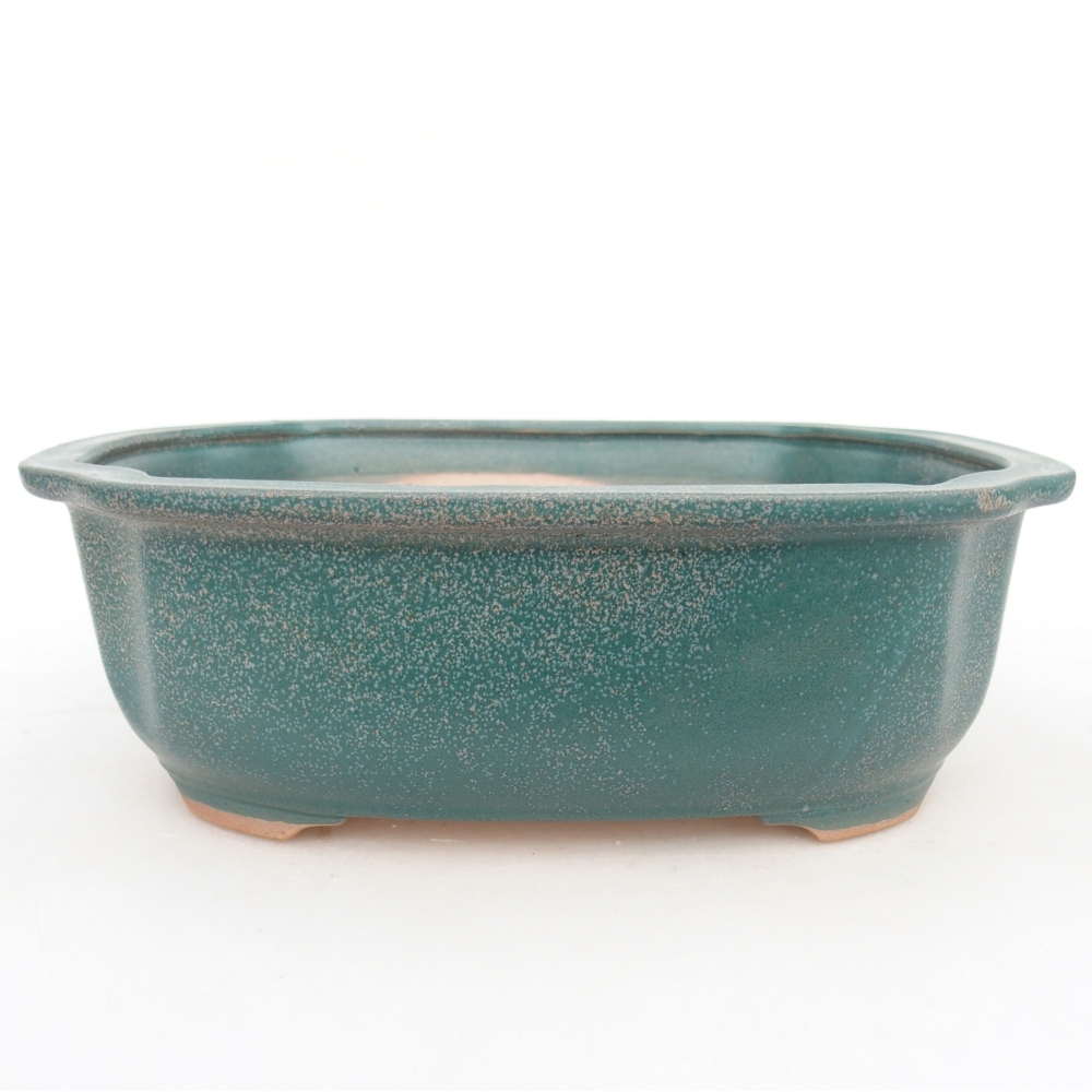 Bol à bonsaï en céramique 22 x 18 x 7,5 cm, couleur bleu