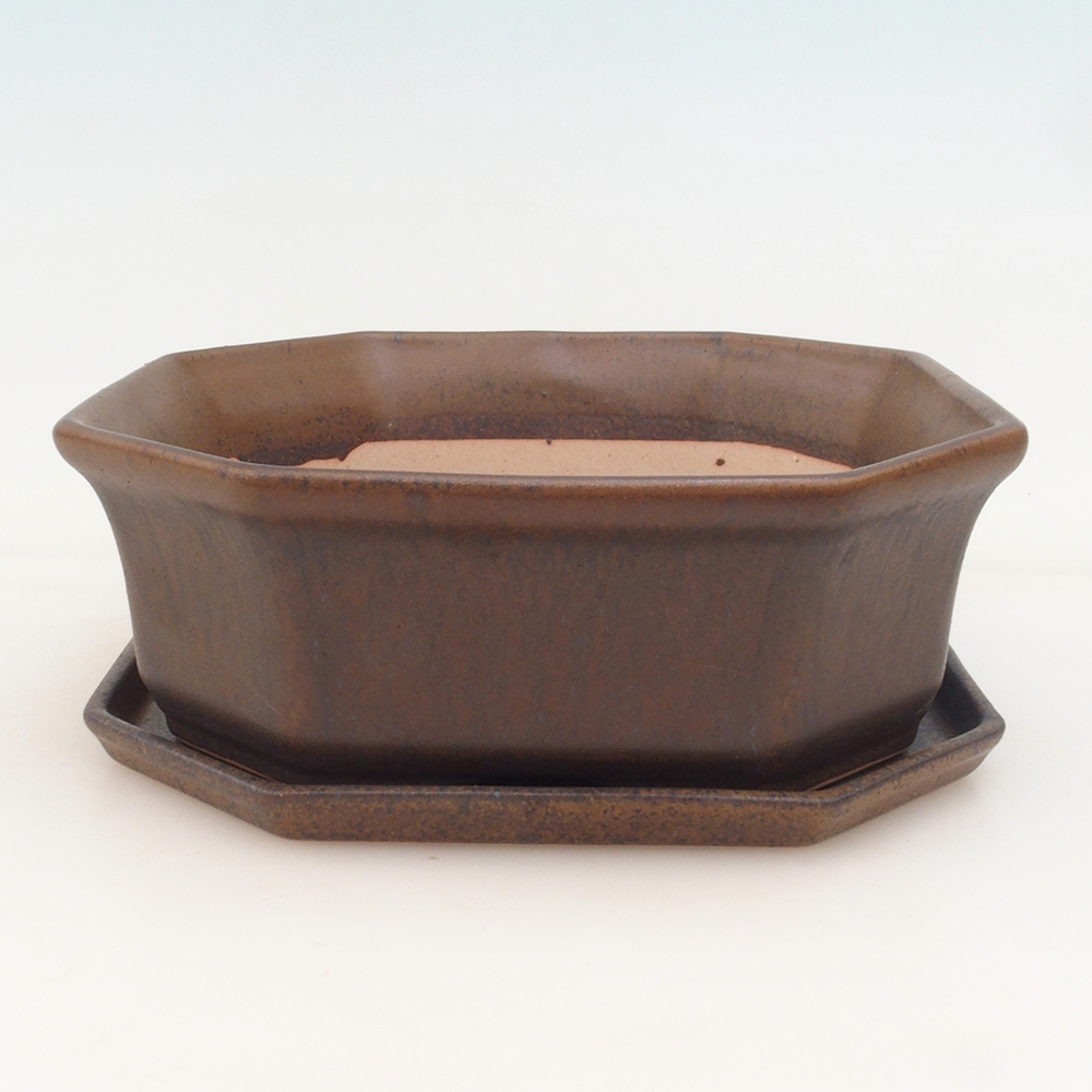 Bol Bonsaï + soucoupe H14 - brun