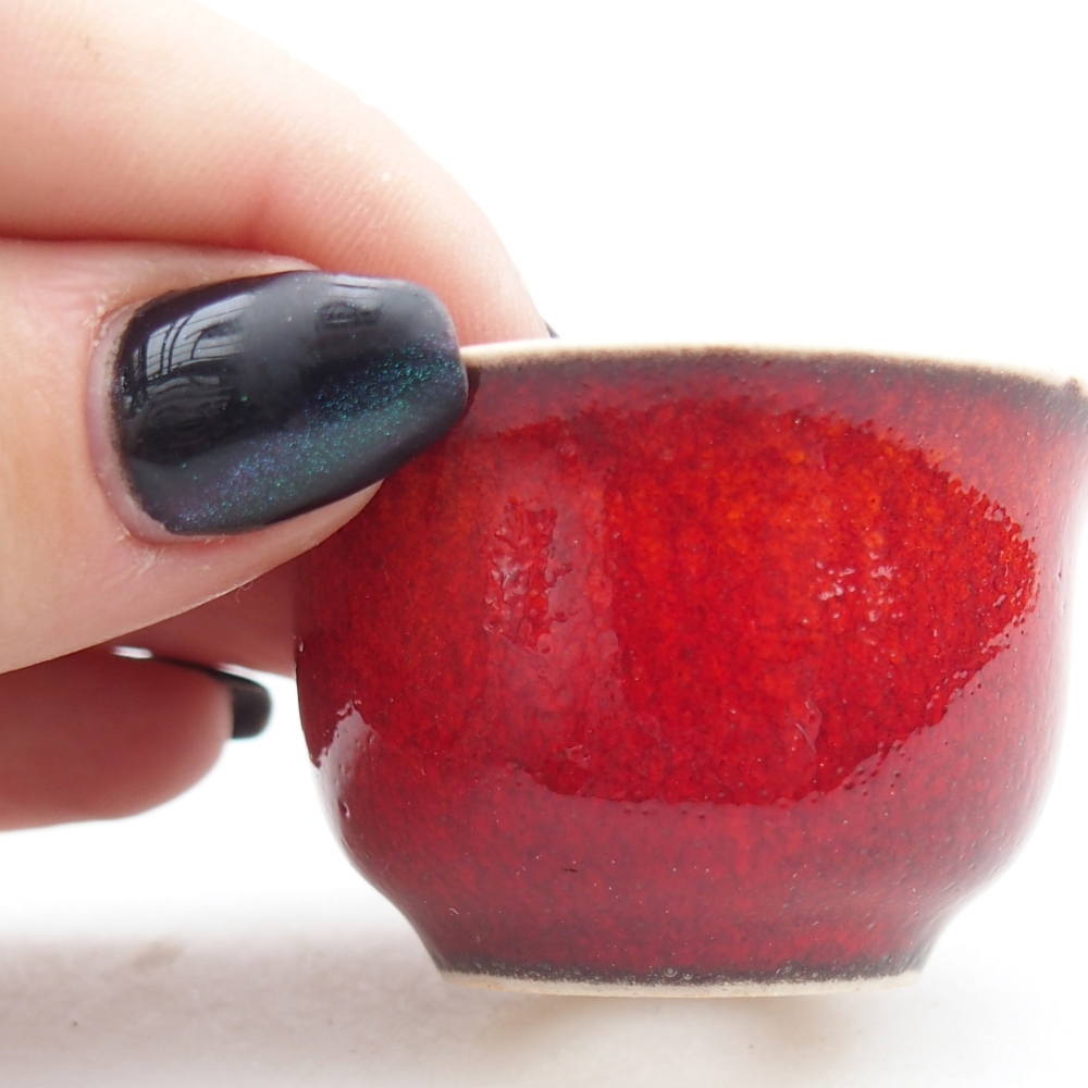 Mini bol bonsaï 5 x 5 x 3 cm, couleur rouge