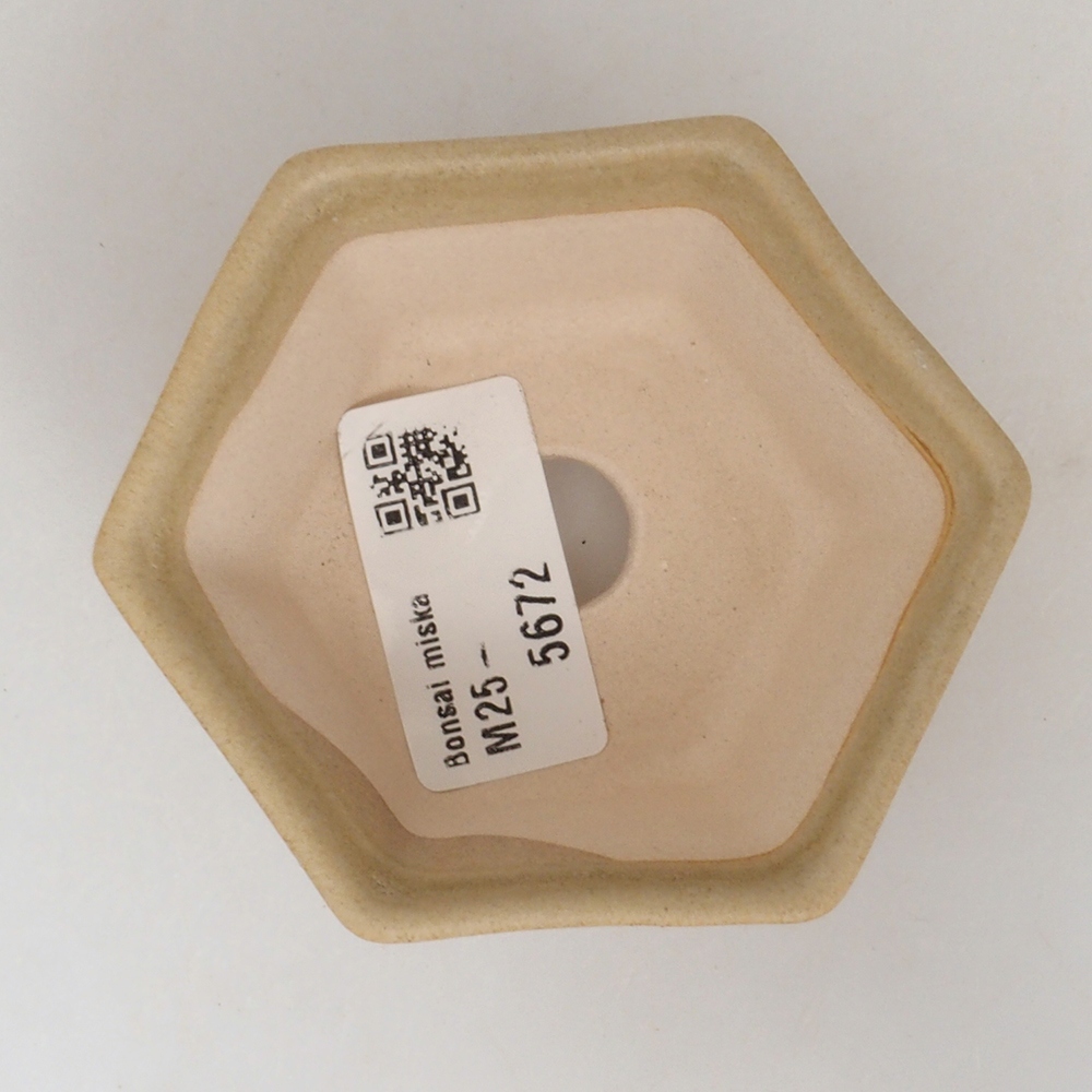 Mini bol bonsaï 8 x 7 x 4 cm, brun