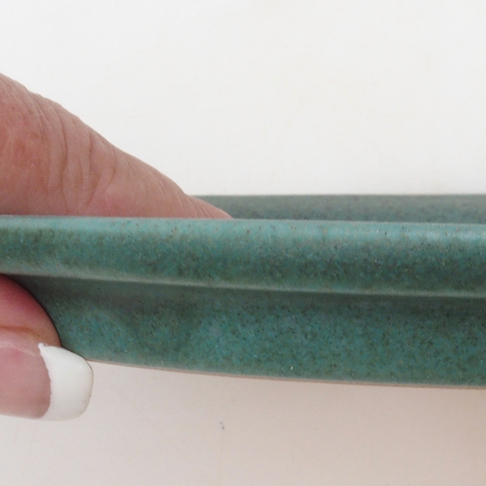 Soucoupe ovale Bonsaï S - 20 x 16,5 x 1,5 cm - vert