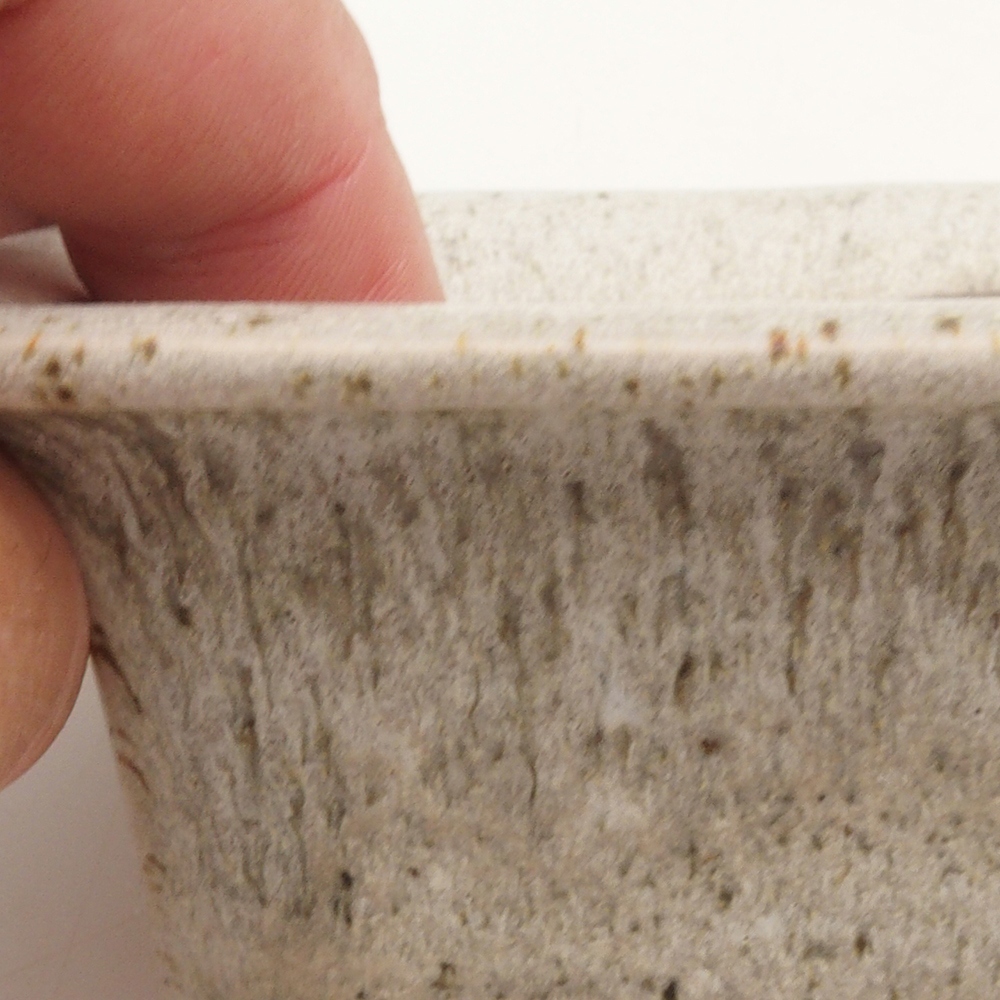 Coupe bonsaï H11 - 11,5 x 10 x 4 cm - beige