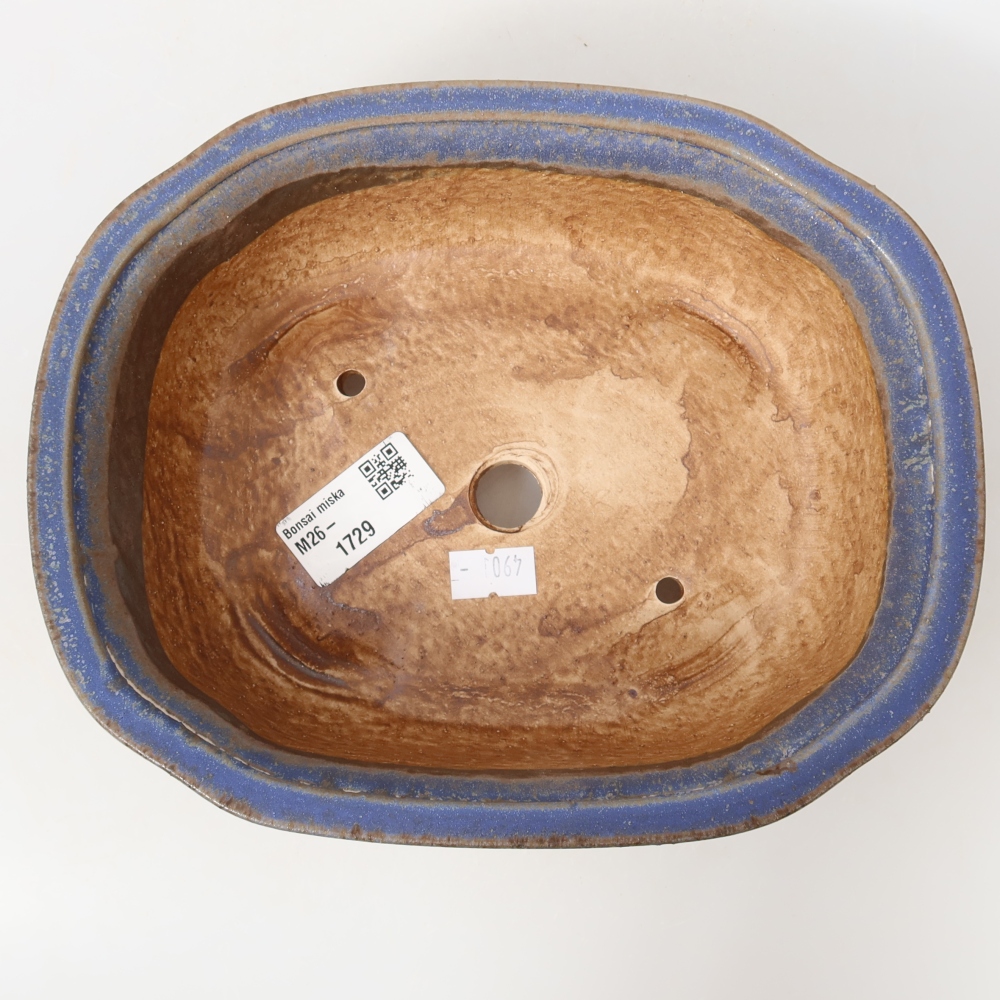 Pot à bonsaï en céramique 20,5 x 16,5 x 7 cm, couleur bleue