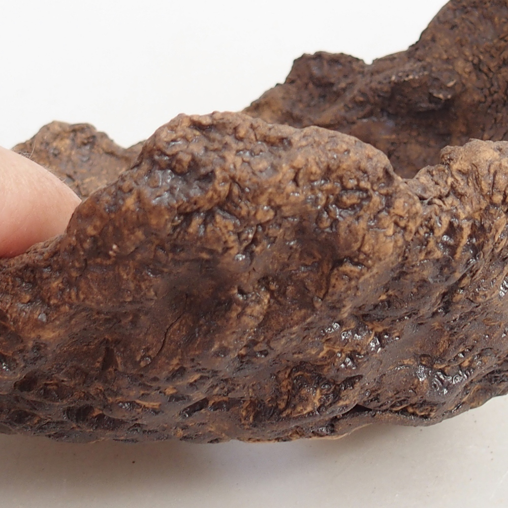 Coquille en céramique 14,5 x 13 x 13 cm , couleur marron