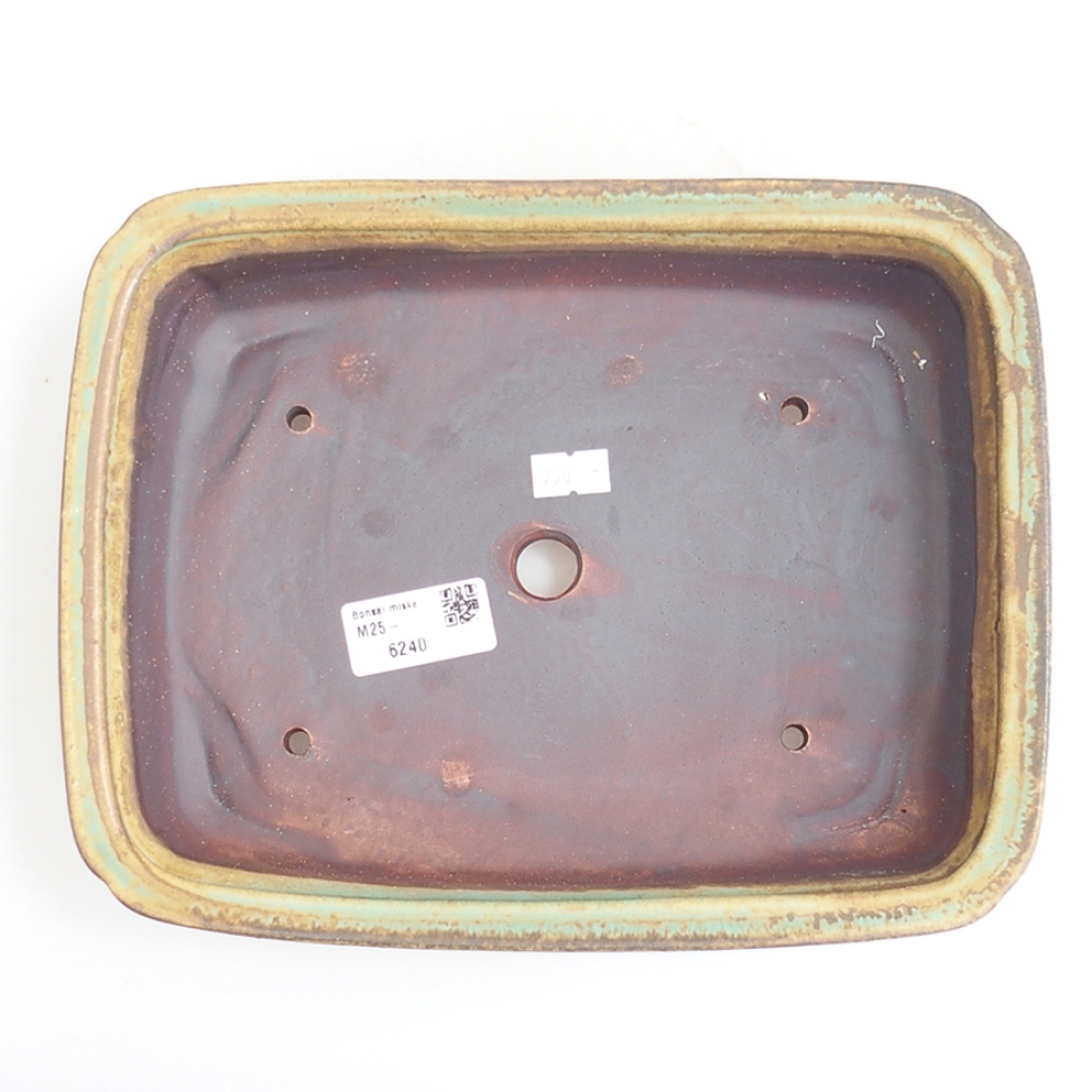 Bol à bonsaï en céramique 24,5 x 19 x 7 cm, vert