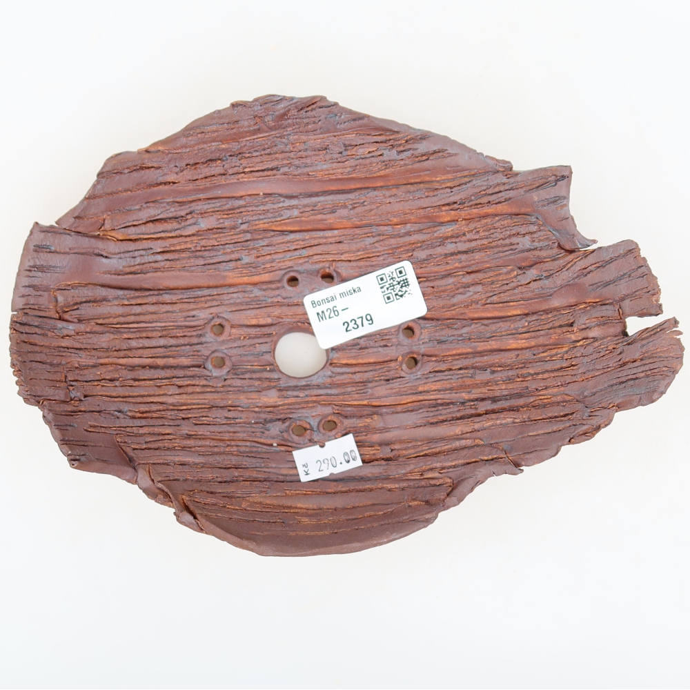 Coquille en céramique  21 x 15 x 5,5 cm, couleur marron