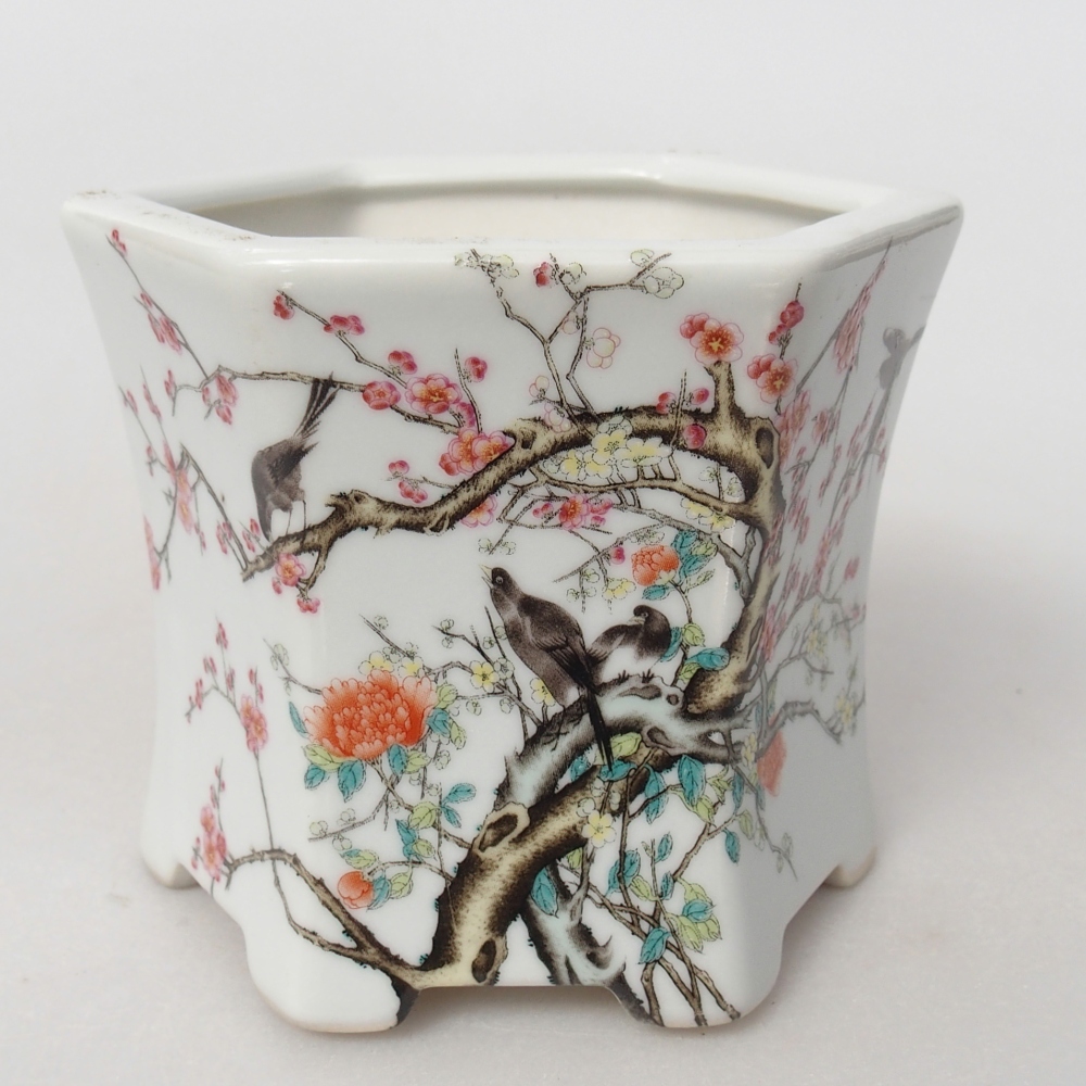 Bol à bonsaï en céramique 10,5 x 9,5 x 9 cm, couleur blanc