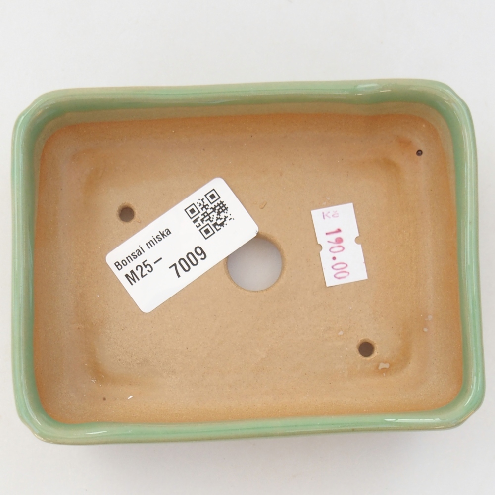 Bol à bonsaï en céramique 11,5 x 9 x 3,5 cm, vert