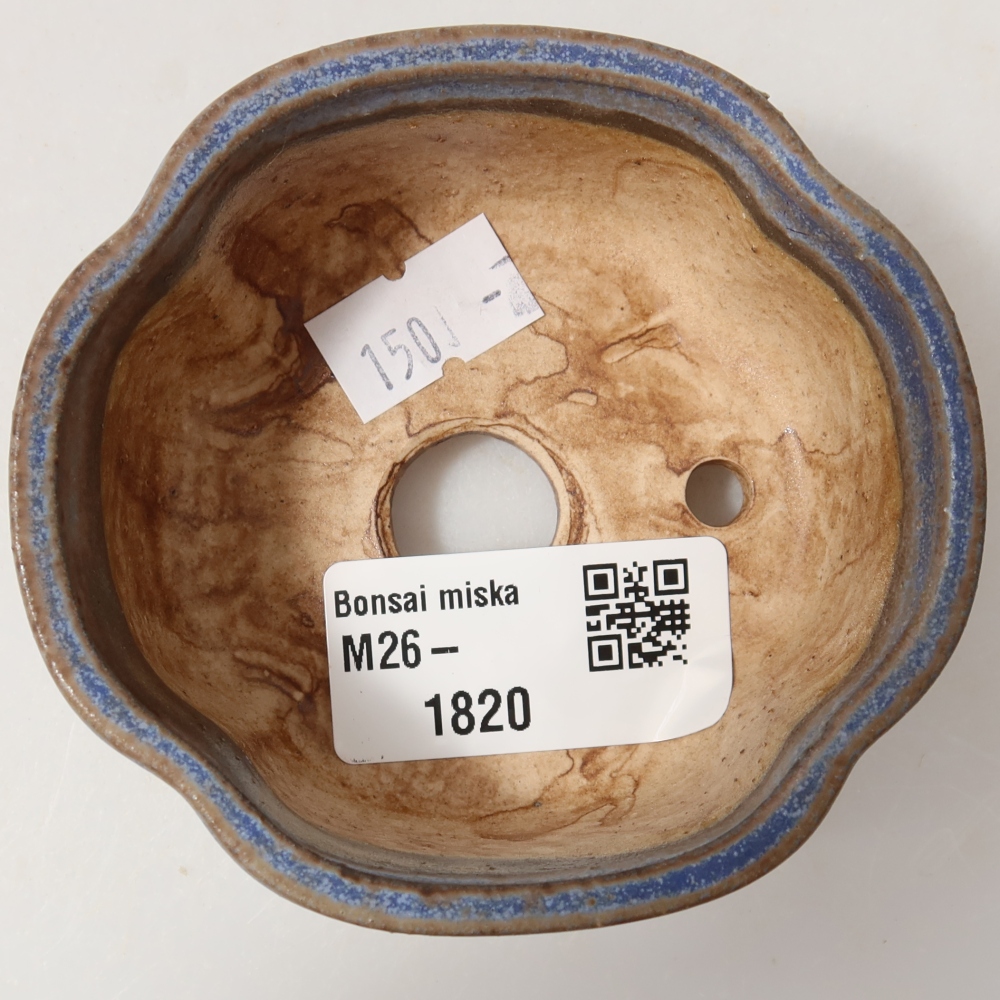 Pot à bonsaï en céramique 8 x 7,5 x 3,5 cm, couleur bleue