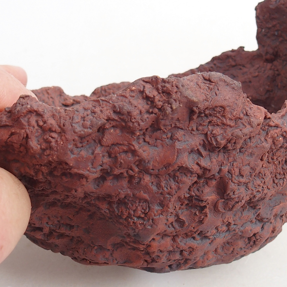 Coquille en céramique 13 x 11,5 x 10,5 cm , couleur marron