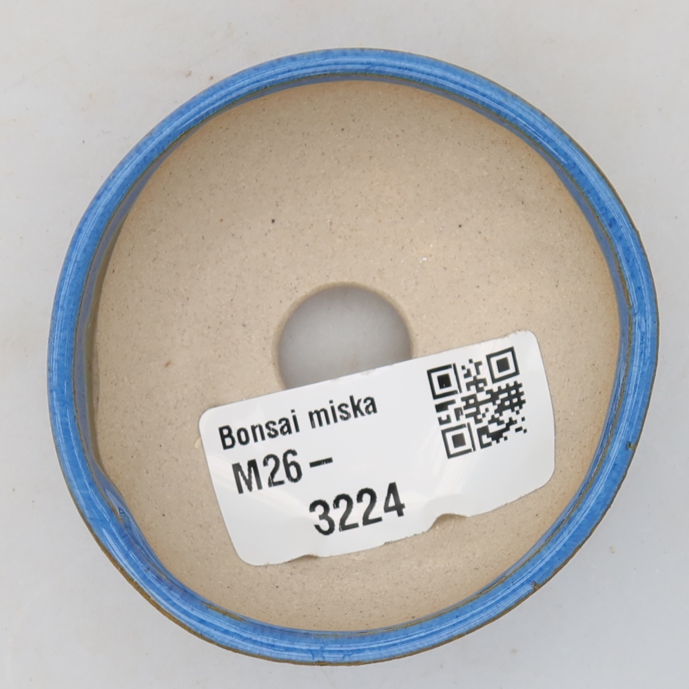 Pot à bonsaï en céramique 6 x 6 x 3 cm, couleur bleue