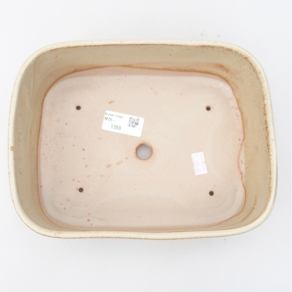 Bol à bonsaï en céramique 23 x 18 x 7,5 cm, couleur beige