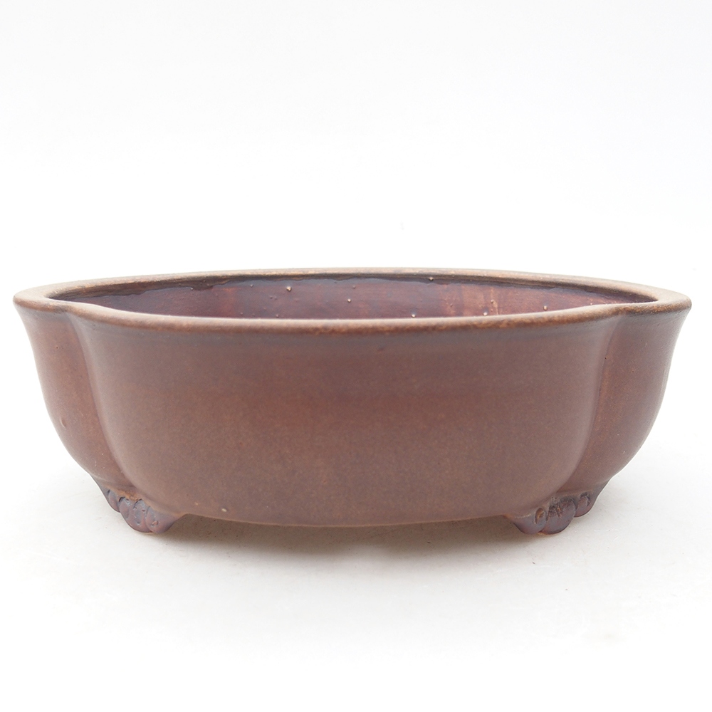 Bol à bonsaï en céramique 17 x 15,5 x 5,5 cm, brun