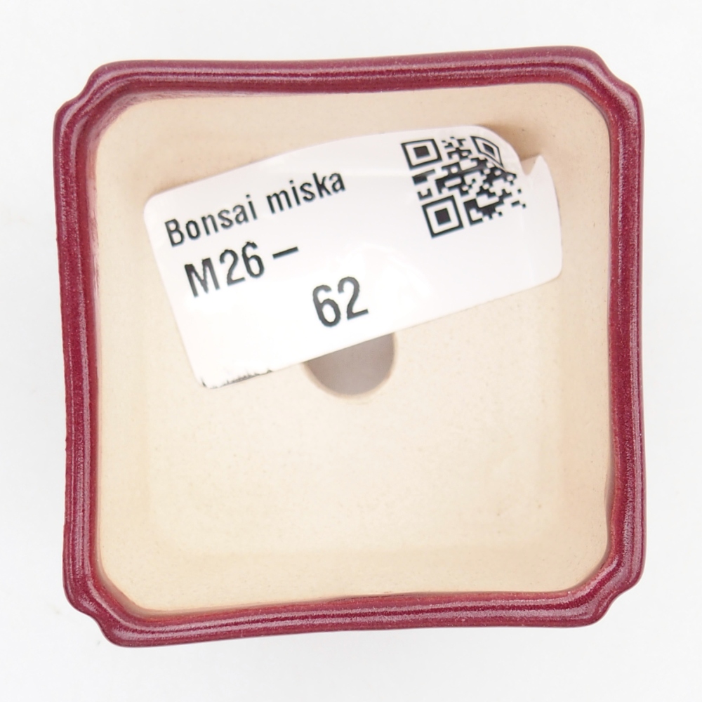 Mini bol bonsaï 5 x 5 x 3 cm, bordeaux