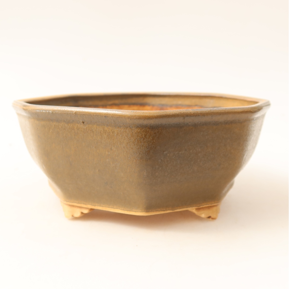 Pot à bonsaï en céramique 17 x 16 x 6,5 cm, couleur marron