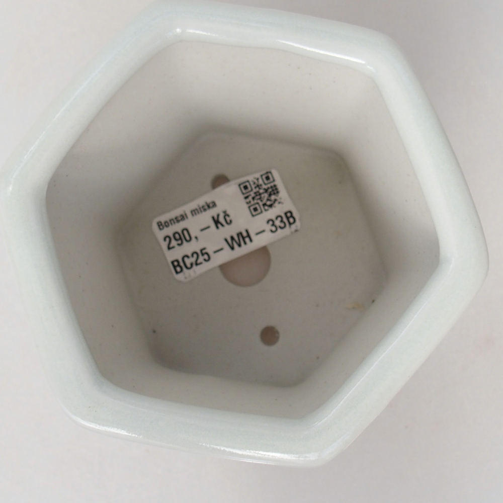 Bol à bonsaï en céramique 10,5 x 9,5 x 9 cm, couleur blanc