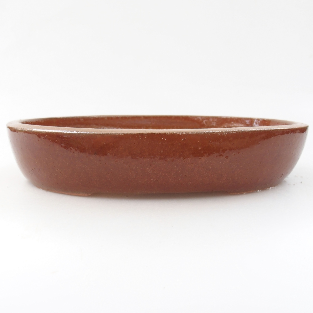 Bol à bonsaï en céramique 22 x 16,5 x 4 cm, brun