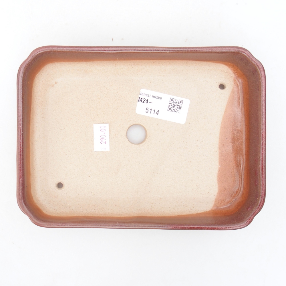Bol à bonsaï en céramique 18 x 13 x 3 cm, bordeaux