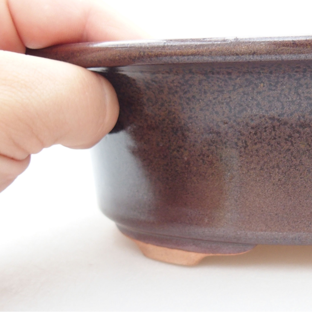 Bol à bonsaï en céramique 22 x 17 x 5 cm, vert