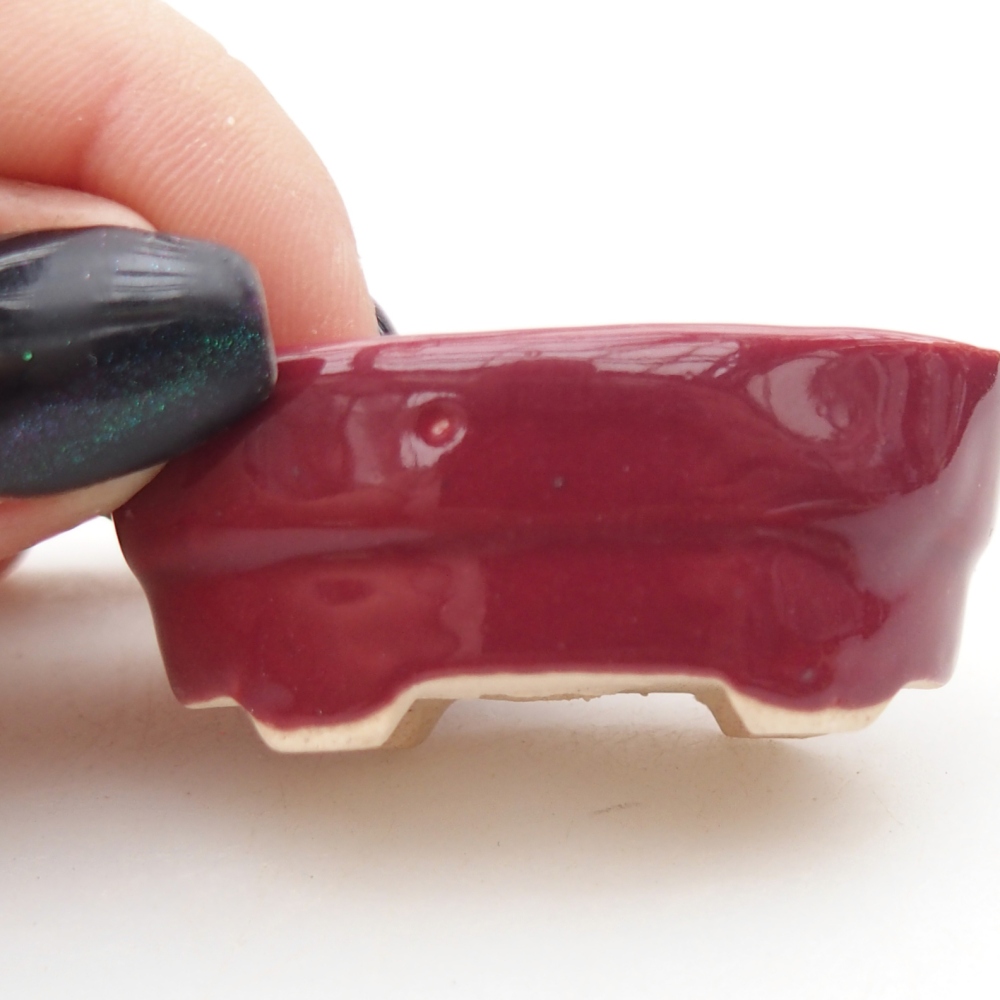 Mini bol bonsaï 4 x 2,5 x 2 cm, bordeaux