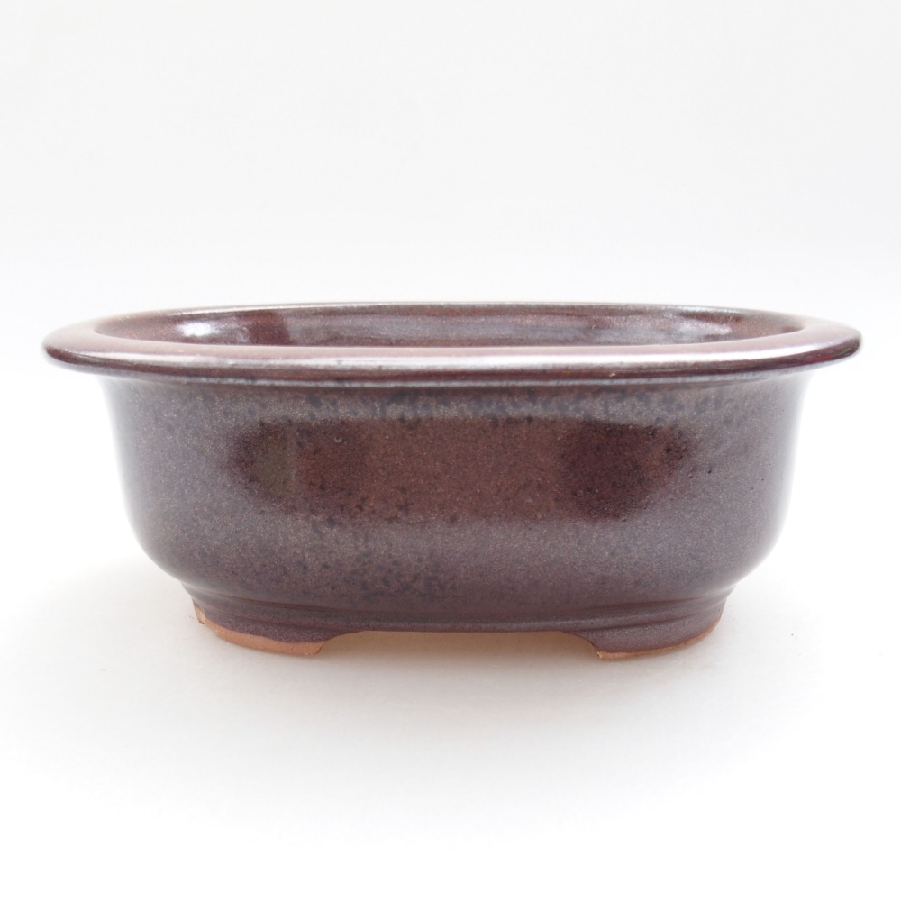 Bol à bonsaï en céramique 22 x 17 x 5 cm, vert