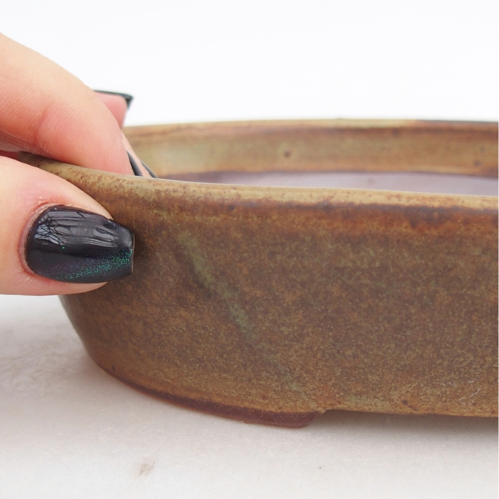 Bol à bonsaï en céramique 17 x 14 x 4 cm, vert